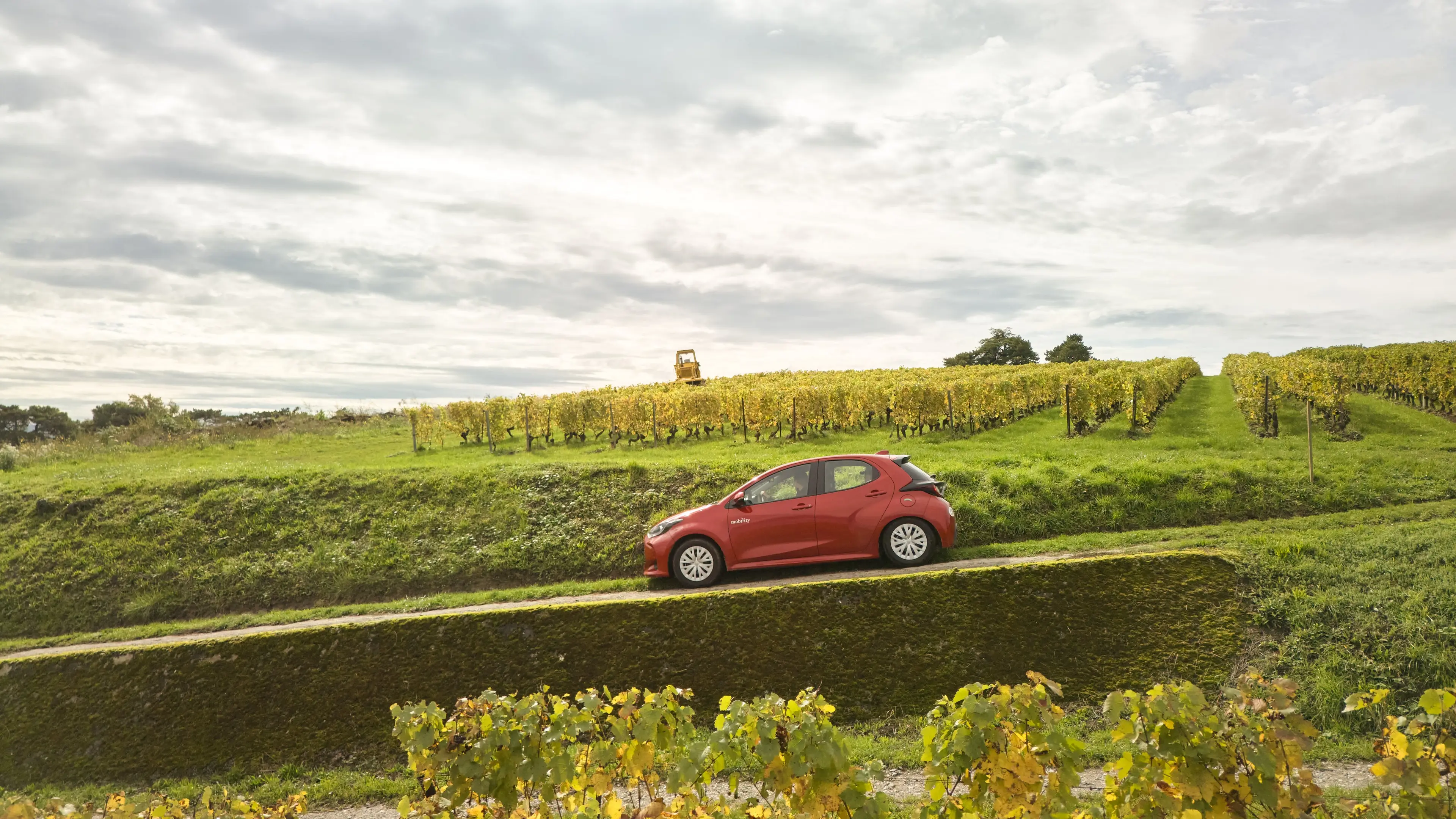 La Deviniere_Weingut_Camille_Mobility_Carsharing_Business Use Case_2024.jpg