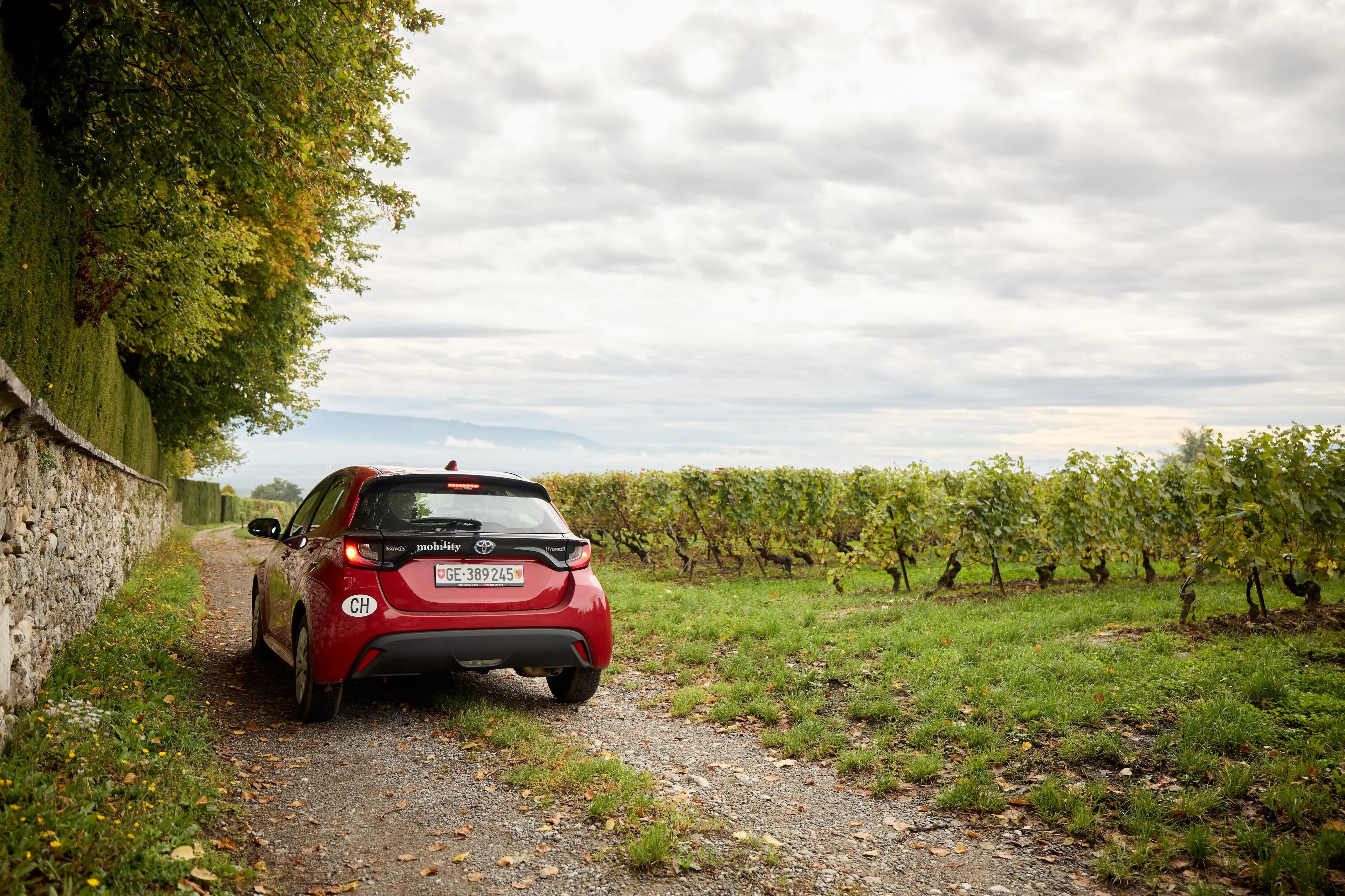 Mobility-Kundin Camille betreibt ein eigenes Weingut in der Nähe von Genf. Wir haben sie für eine Business-Use-Case-Story im Oktober 2024 besucht. (als)